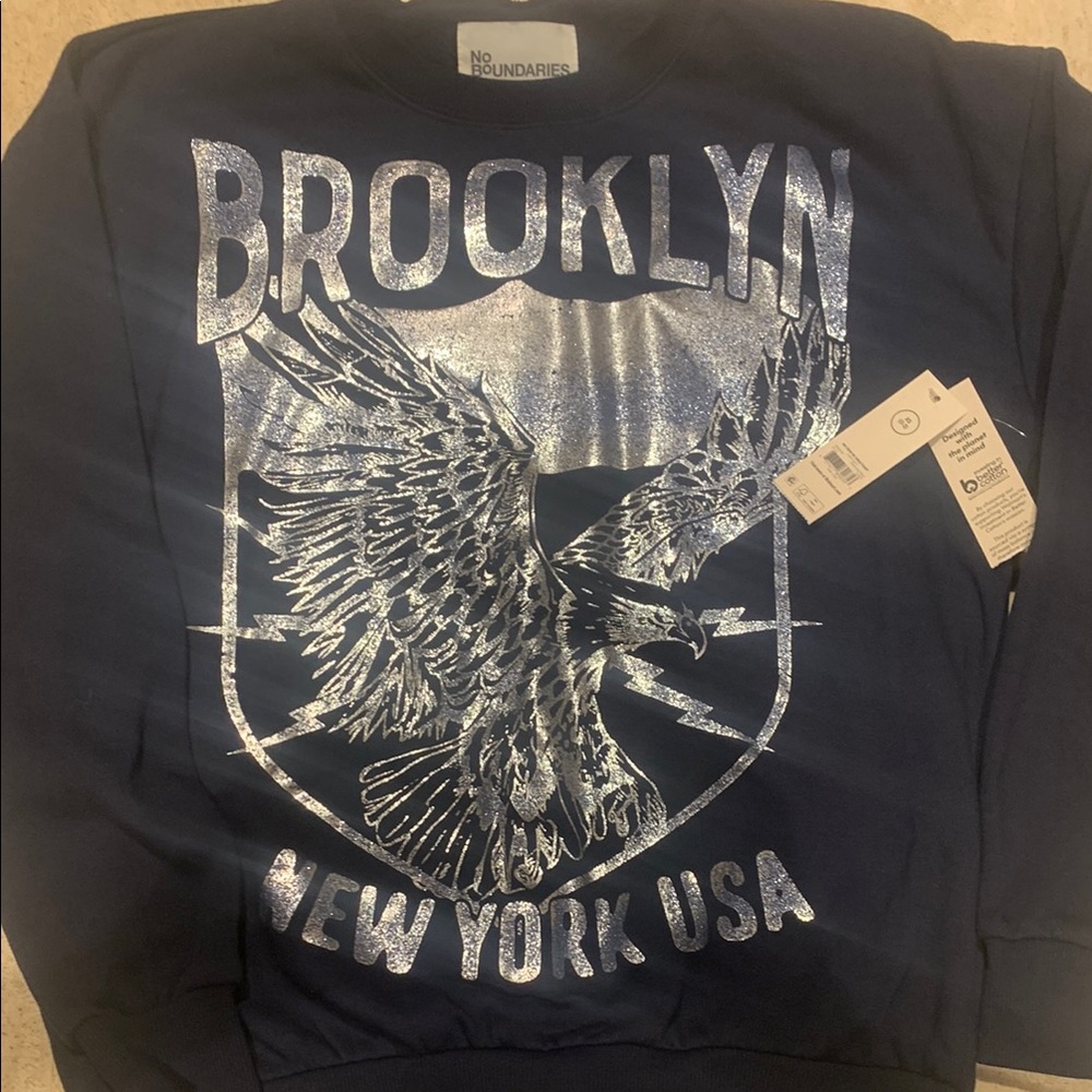 No Boundaries Blue and Silver Crewneck Sweater
